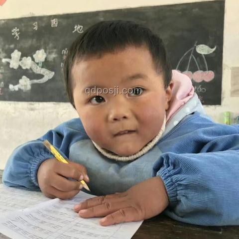 教育行业新视角：数学难度提升下的学生应对与教学改革